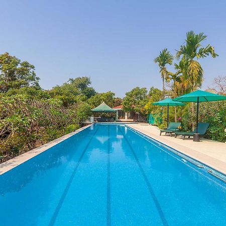 Stayvista'S Casa Palmera - Pet-Friendly Villa With Pool, Garden With Gazebo, And Indoor & Outdoor Games Alībāg Exteriör bild